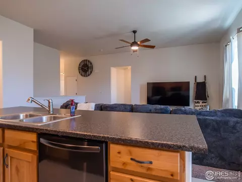 1780 Long Shadow Dr, Windsor, CO 80550 photo 9