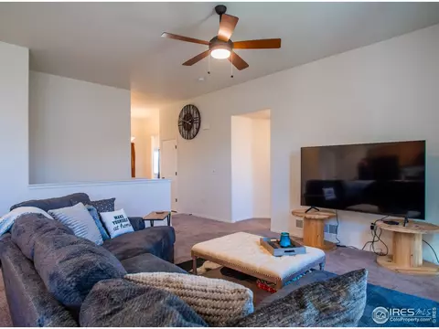 1780 Long Shadow Dr, Windsor, CO 80550 photo 20