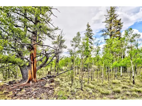 178 Wesson Ln, Como, CO 80432 photo 26