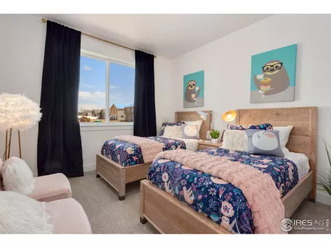 1693 Corby Dr, Windsor, CO 80550 photo 19