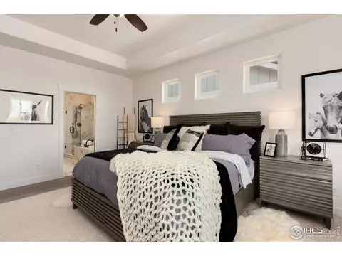 1693 Corby Dr, Windsor, CO 80550 photo 14