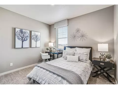 451 Thrush Pl, Johnstown, CO 80534 photo 17
