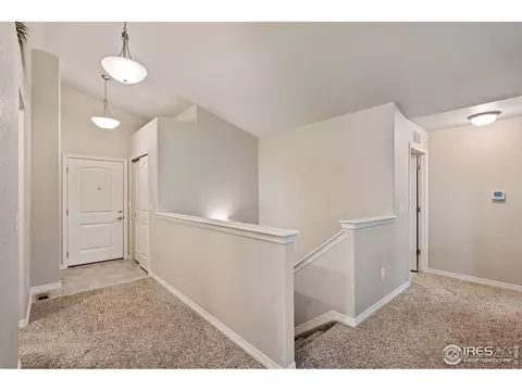 5945 Clarence Dr, Windsor, CO 80550 photo 19
