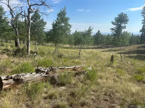 3361 Singletree Rd, Hartsel, CO 80449