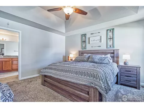 706 Blue Jay Dr, Severance, CO 80550 photo 10