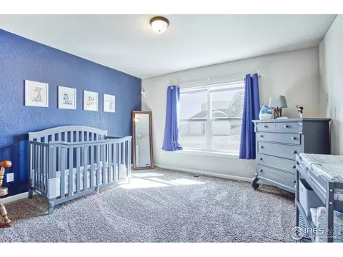 706 Blue Jay Dr, Severance, CO 80550 photo 14