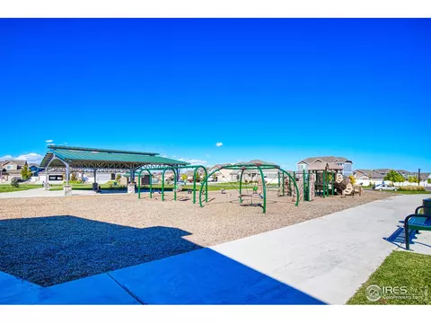706 Blue Jay Dr, Severance, CO 80550 photo 29