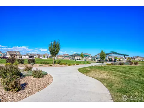 706 Blue Jay Dr, Severance, CO 80550 photo 30