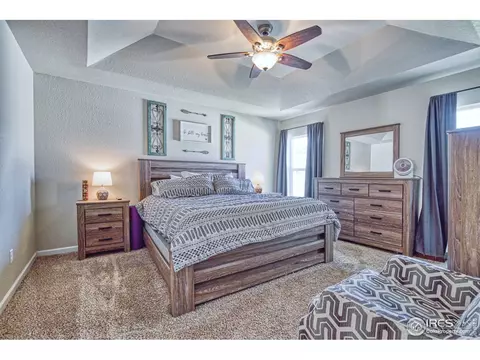 706 Blue Jay Dr, Severance, CO 80550 photo 11