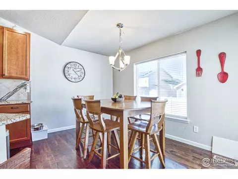 706 Blue Jay Dr, Severance, CO 80550 photo 9
