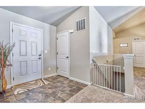 706 Blue Jay Dr, Severance, CO 80550 photo 4