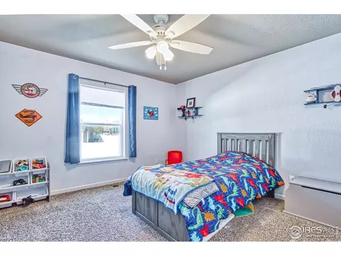 706 Blue Jay Dr, Severance, CO 80550 photo 17