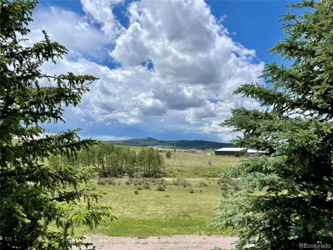 28 Ridge Point Cir, Divide, CO 80814 photo 9