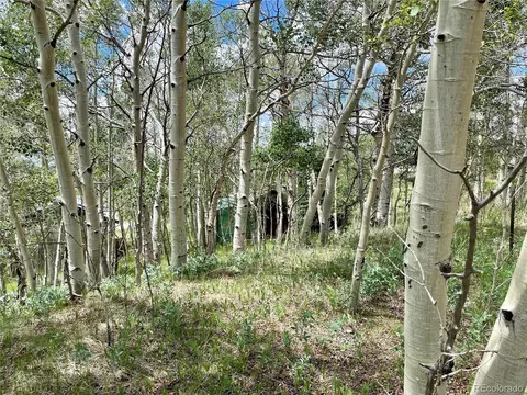 28 Ridge Point Cir, Divide, CO 80814 photo 12