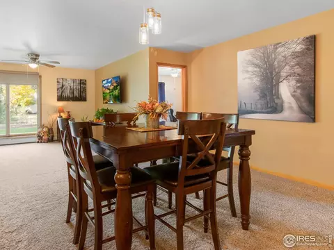 300 9th St, Windsor, CO 80550 photo 10