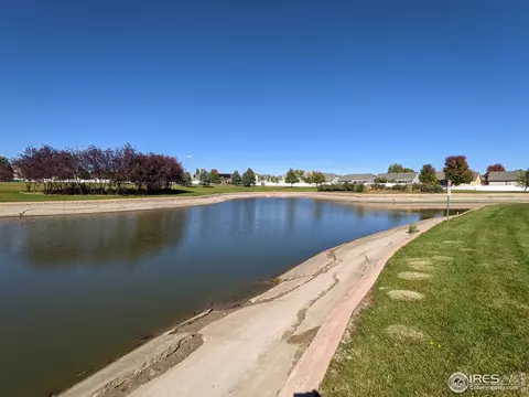 6300 Corvina St, Evans, CO 80634 photo 37