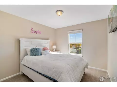 1936 Shadow Lake Dr, Windsor, CO 80550 photo 25