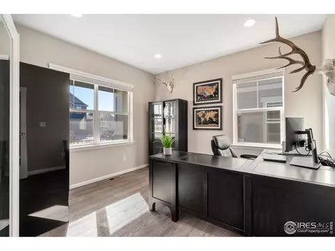 1936 Shadow Lake Dr, Windsor, CO 80550 photo 5