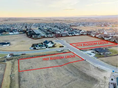 1974 Blossom Grove Ct, Windsor, CO 80550