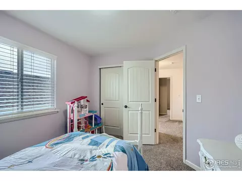 4319 Sunflower Rd, Evans, CO 80620 photo 20