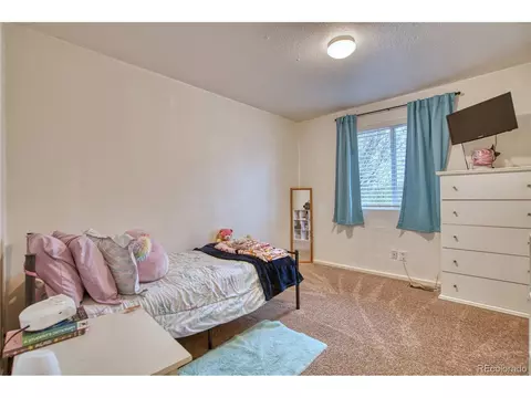2150 E 97th Pl, Thornton, CO 80229 photo 10
