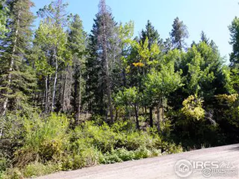 11686 Brook Rd, Golden, CO 80403