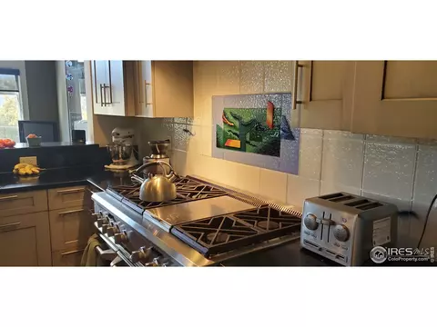 7555 Spring Dr, Boulder, CO 80303 photo 17
