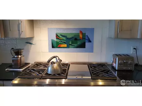 7555 Spring Dr, Boulder, CO 80303 photo 18