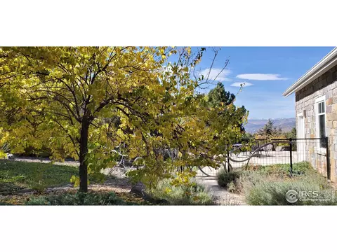 7555 Spring Dr, Boulder, CO 80303 photo 39