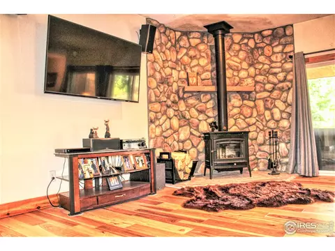 227 Thorn Cir, Black Hawk, CO 80422 photo 6
