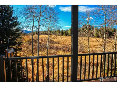 227 Thorn Cir, Black Hawk, CO 80422 photo 39