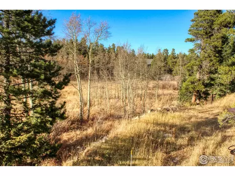227 Thorn Cir, Black Hawk, CO 80422 photo 34