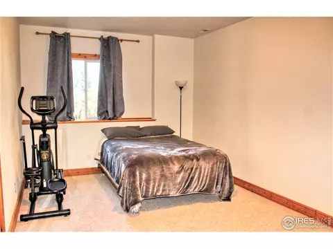 227 Thorn Cir, Black Hawk, CO 80422 photo 28