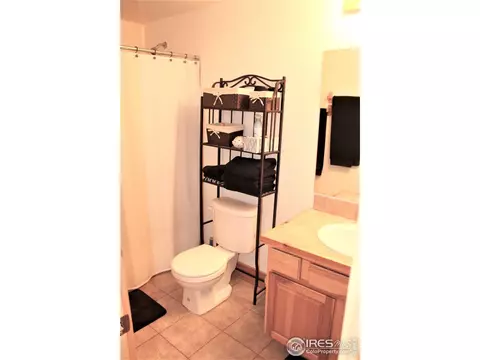 227 Thorn Cir, Black Hawk, CO 80422 photo 29