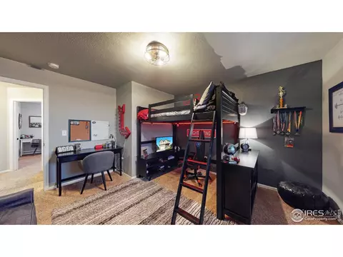 2159 Grain Bin Dr, Windsor, CO 80550 photo 25
