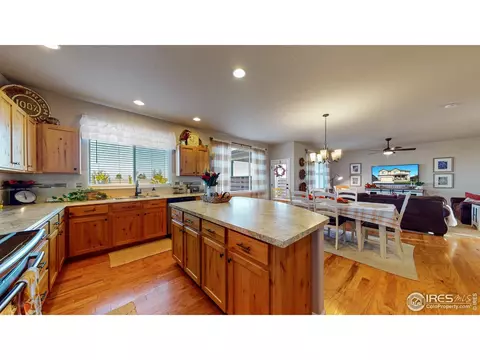 2159 Grain Bin Dr, Windsor, CO 80550 photo 13