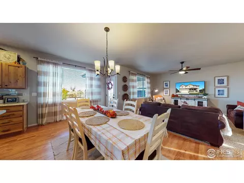 2159 Grain Bin Dr, Windsor, CO 80550 photo 10