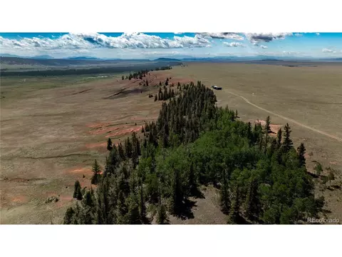 4319 Meier Ridge Trl, Fairplay, CO 80440