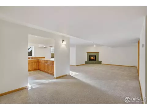 219 Cattail Bay, Windsor, CO 80550 photo 20