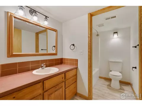 219 Cattail Bay, Windsor, CO 80550 photo 24