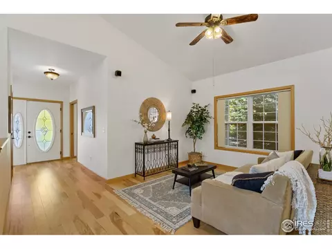 219 Cattail Bay, Windsor, CO 80550 photo 6
