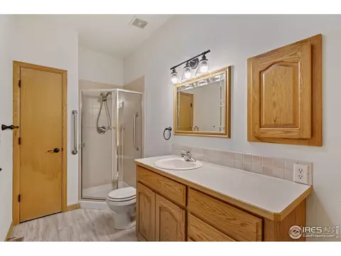 219 Cattail Bay, Windsor, CO 80550 photo 19