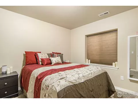 508 Dakota Way, Windsor, CO 80550 photo 30