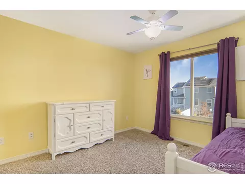 508 Dakota Way, Windsor, CO 80550 photo 24
