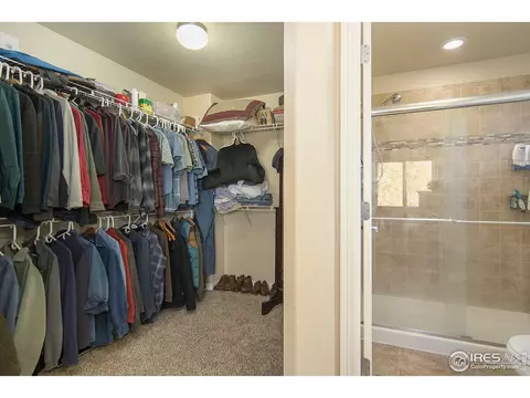 508 Dakota Way, Windsor, CO 80550 photo 21