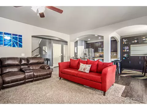508 Dakota Way, Windsor, CO 80550 photo 11