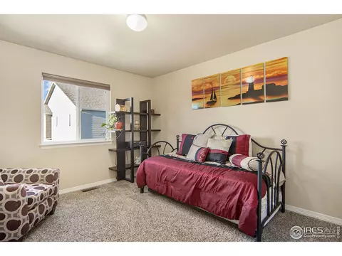 508 Dakota Way, Windsor, CO 80550 photo 27