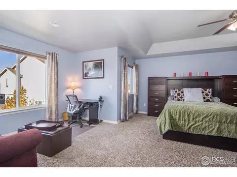 508 Dakota Way, Windsor, CO 80550 photo 17