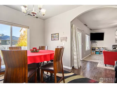 508 Dakota Way, Windsor, CO 80550 photo 10