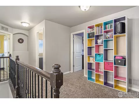 508 Dakota Way, Windsor, CO 80550 photo 22